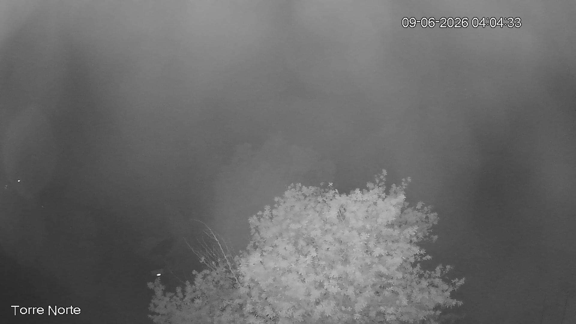 NVR_ch4_20260609040433_T.jpg