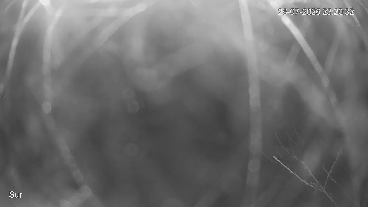 NVR_ch2_20260726232032_T.jpg
