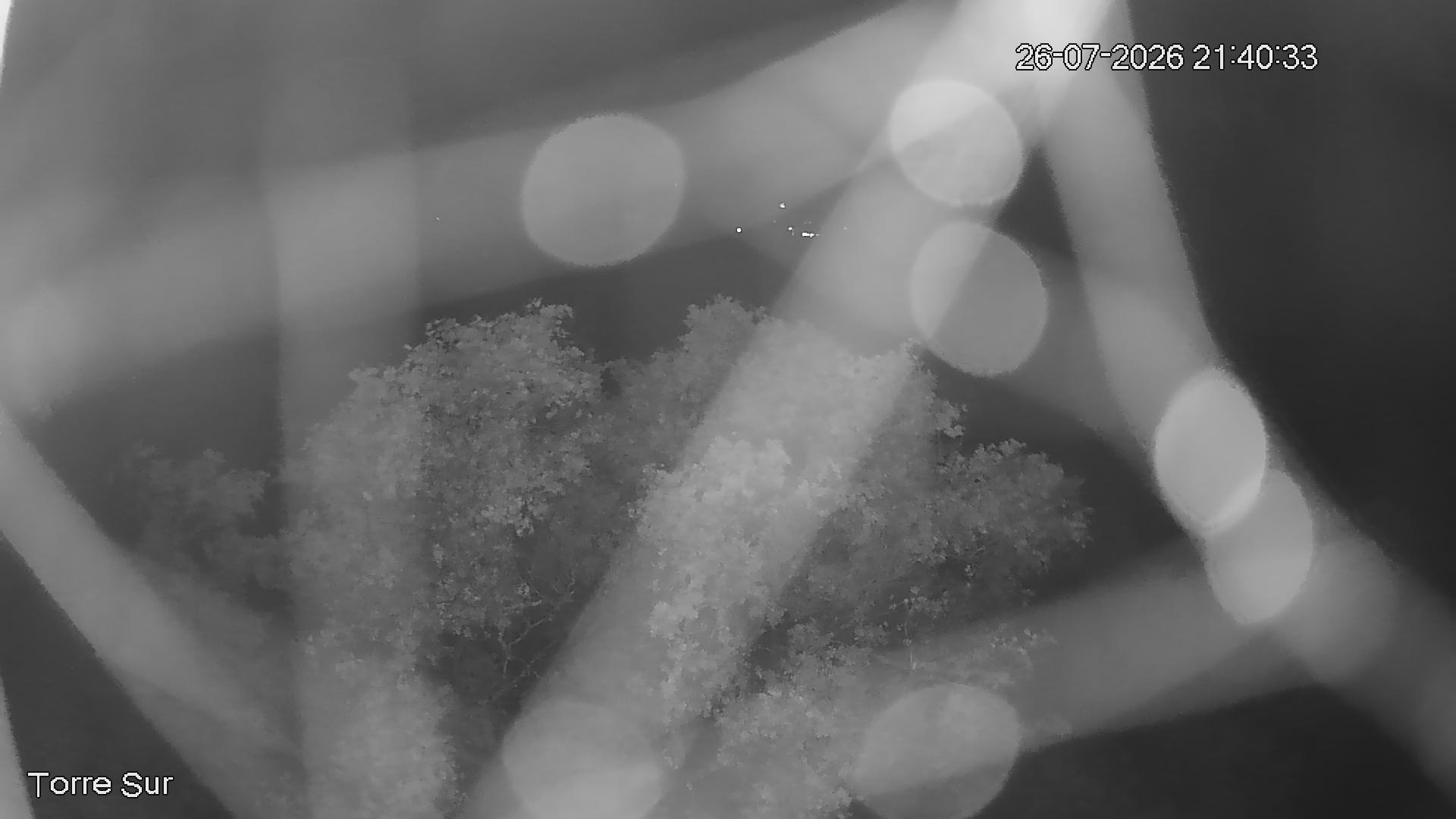 NVR_ch3_20260726214034_T.jpg