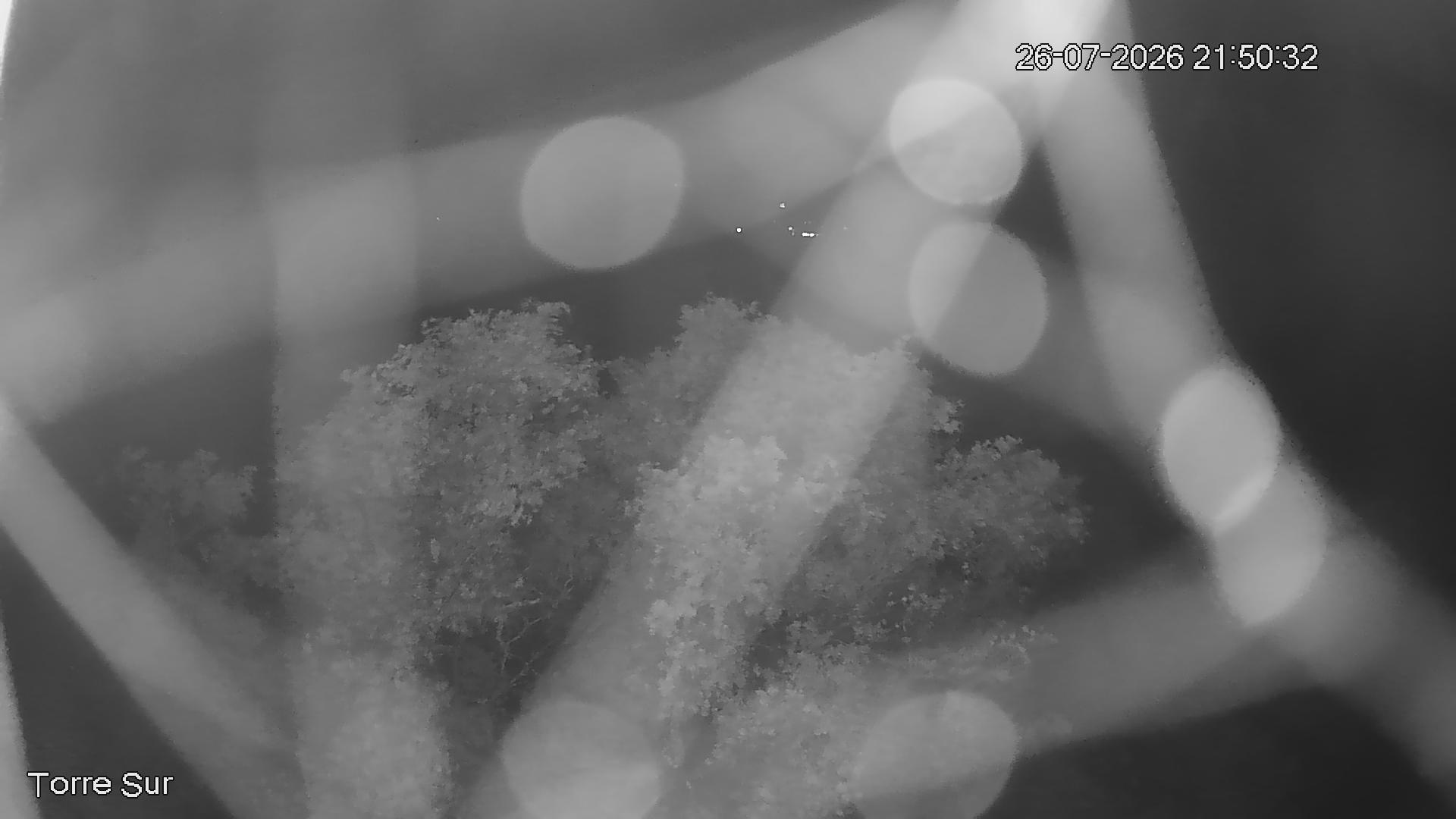 NVR_ch3_20260726215034_T.jpg