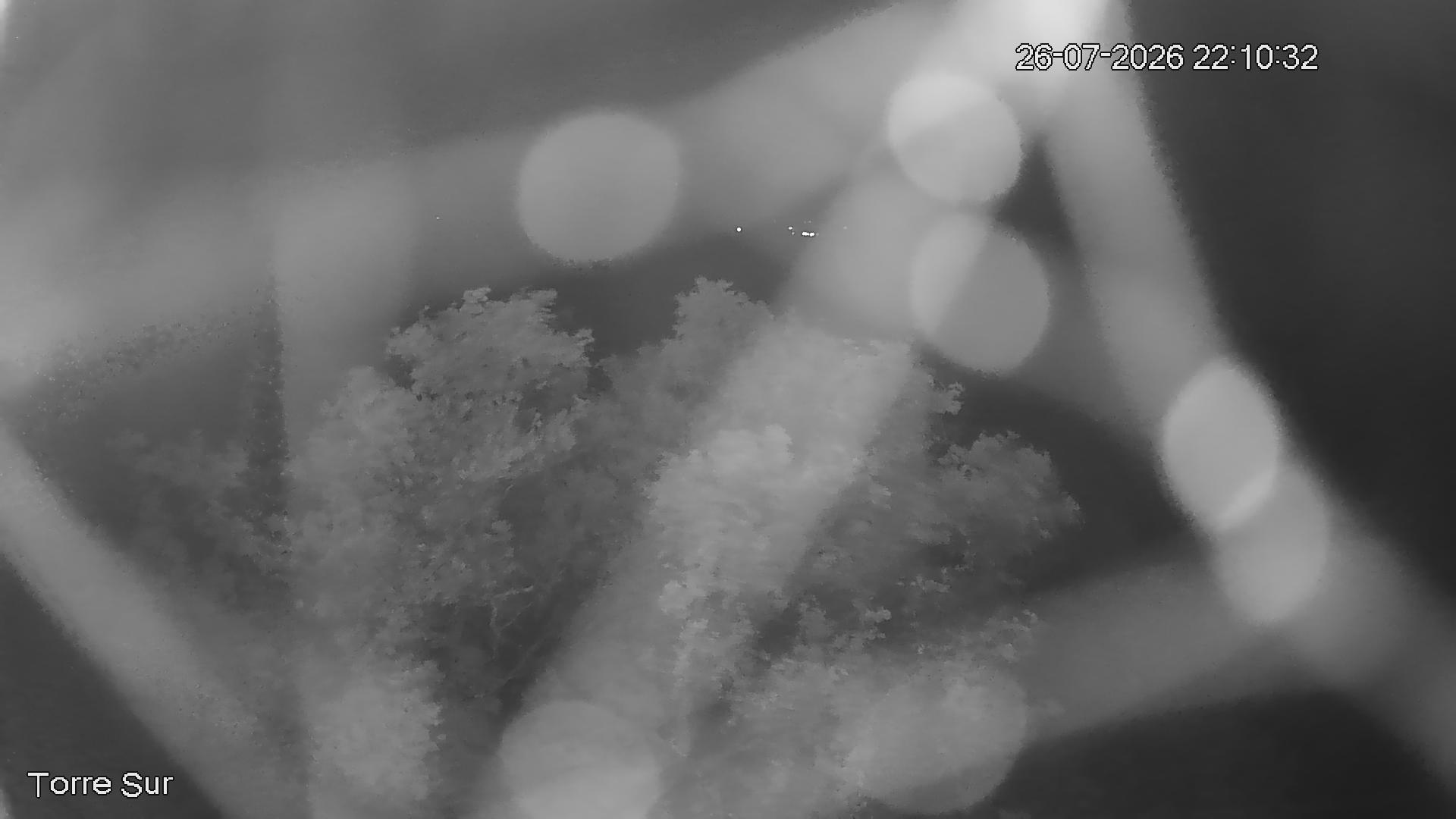 NVR_ch3_20260726221032_T.jpg