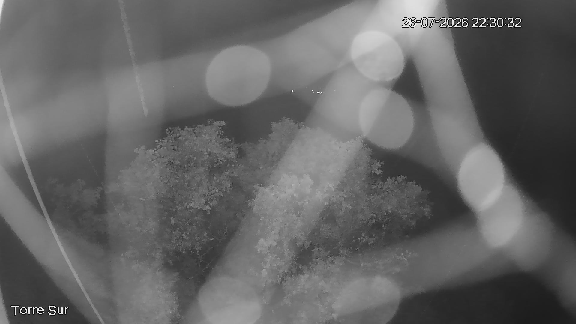 NVR_ch3_20260726223031_T.jpg