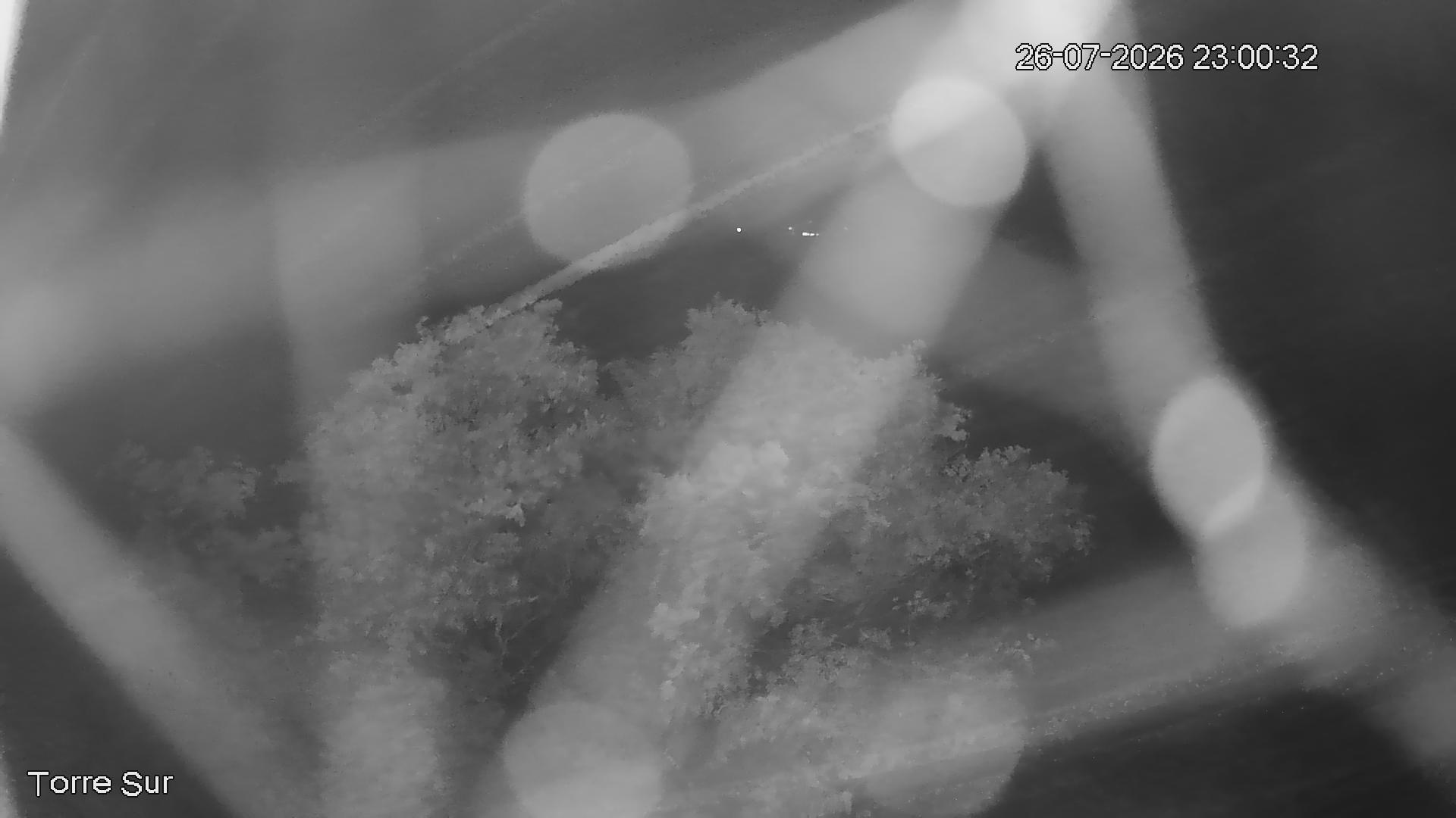 NVR_ch3_20260726230032_T.jpg