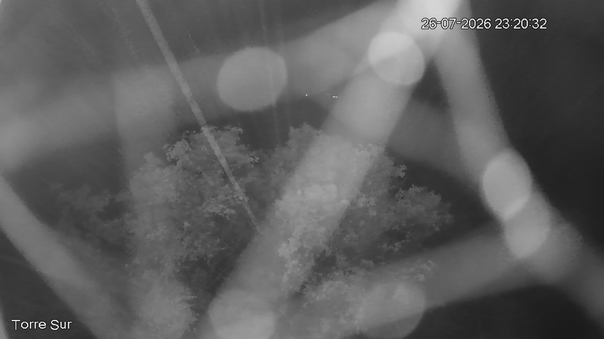 NVR_ch3_20260726232032_T.jpg