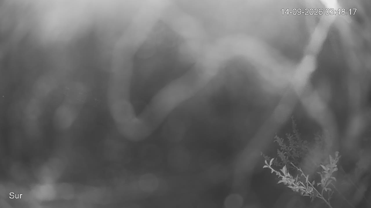 NVR_ch2_20260914034818_T.jpg