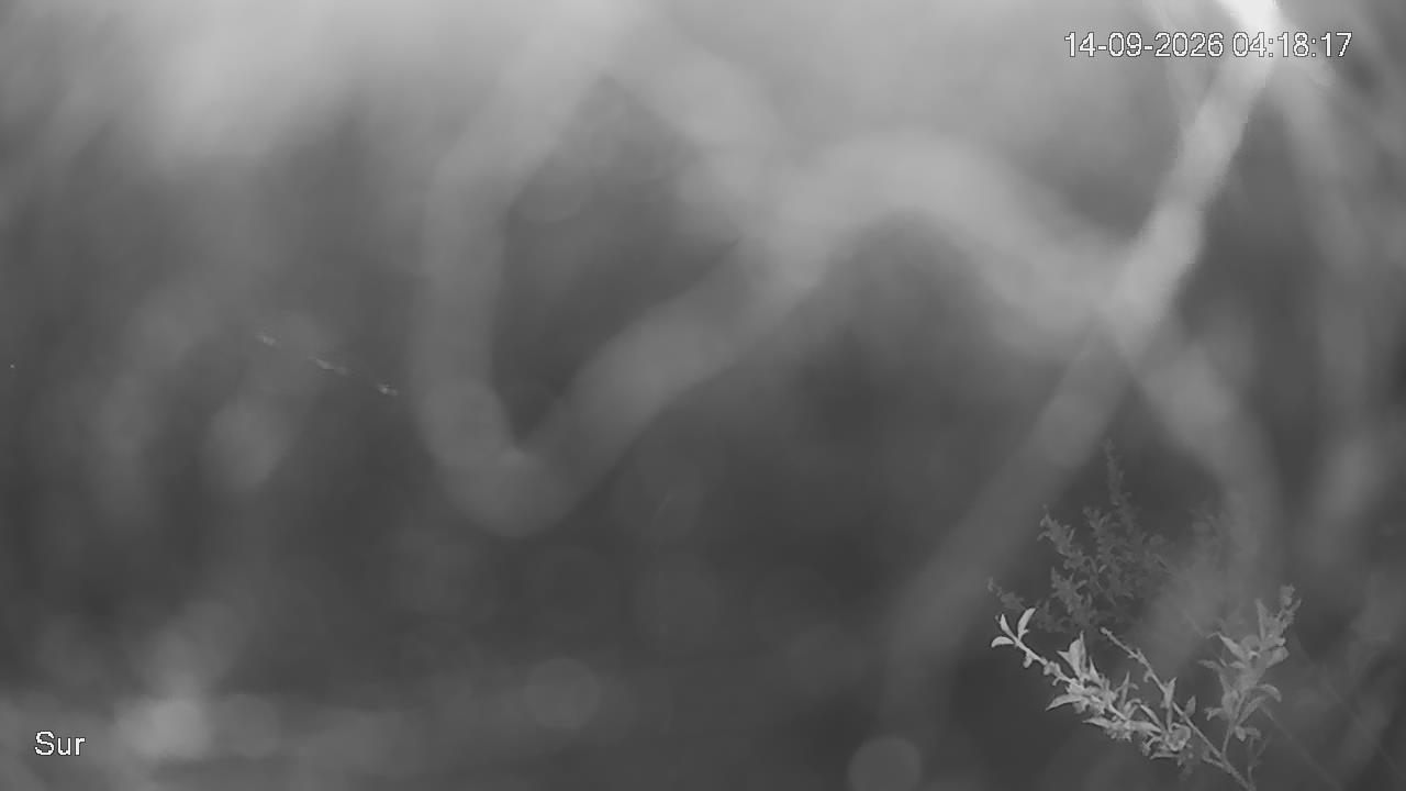 NVR_ch2_20260914041818_T.jpg