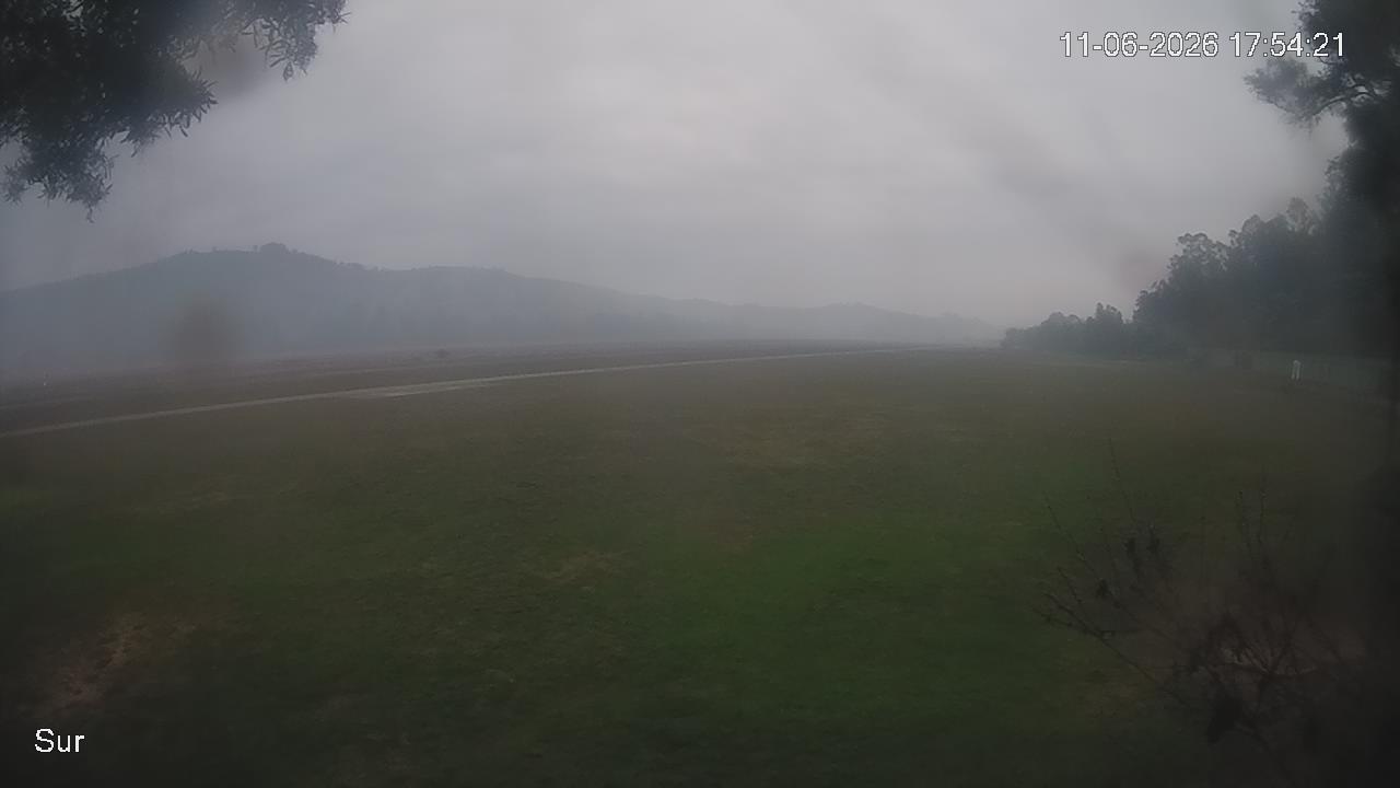 NVR_ch2_20260611175421_T.jpg