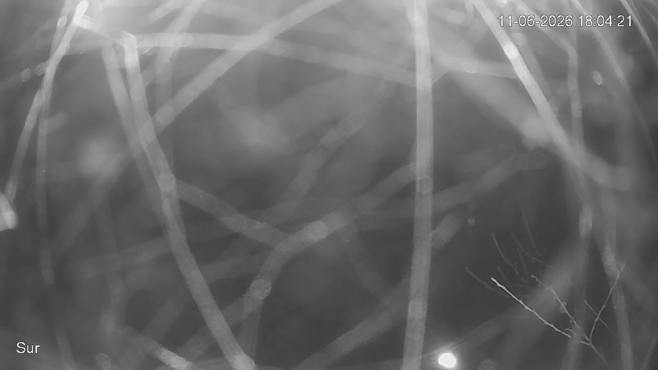 NVR_ch2_20260611180421_T.jpg