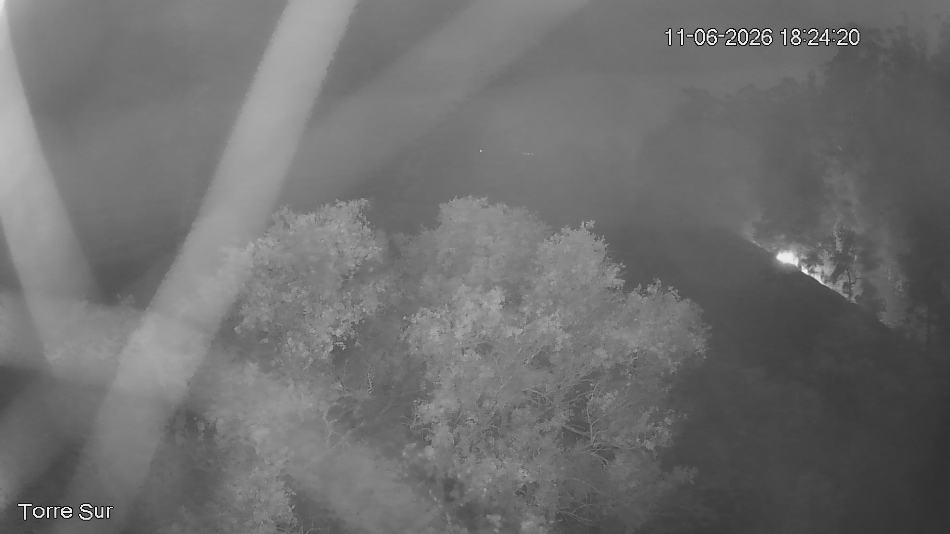NVR_ch3_20260611182421_T.jpg
