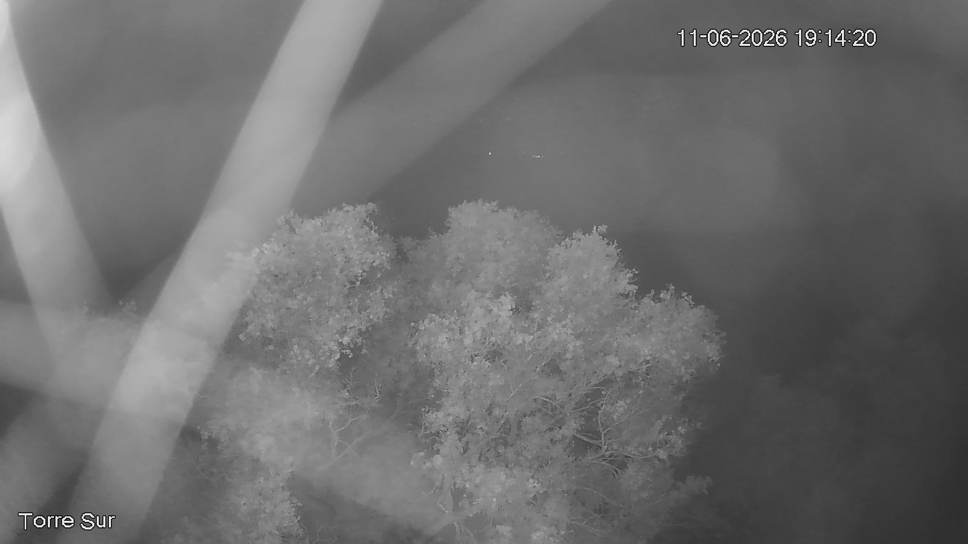 NVR_ch3_20260611191421_T.jpg