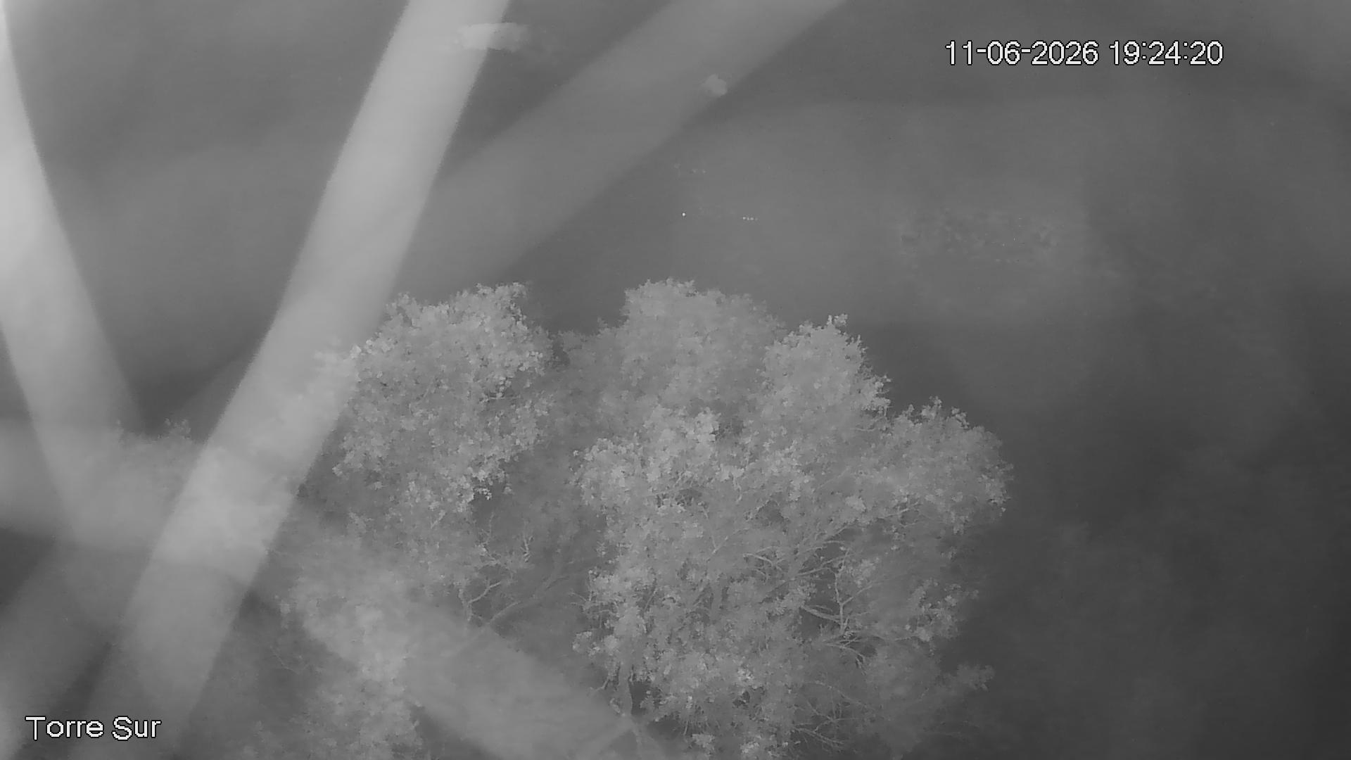 NVR_ch3_20260611192420_T.jpg