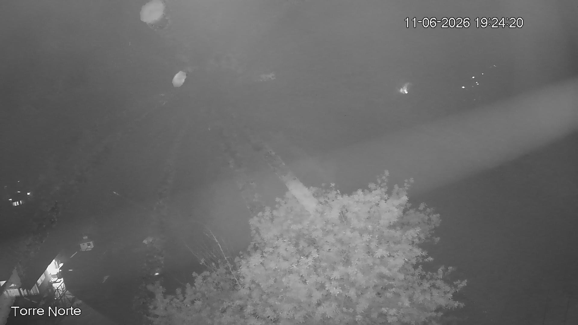 NVR_ch4_20260611192421_T.jpg