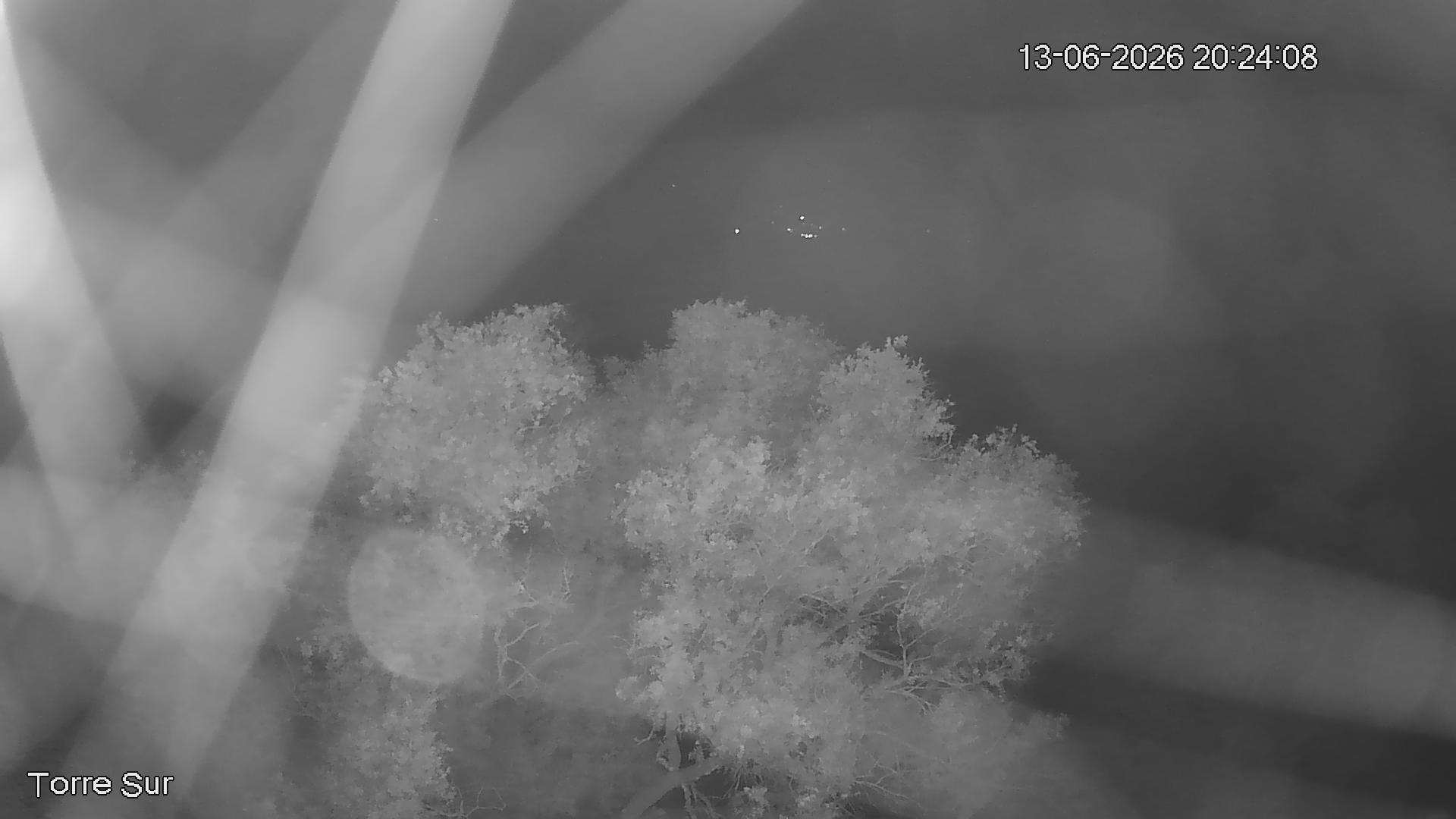 NVR_ch3_20260613202410_T.jpg