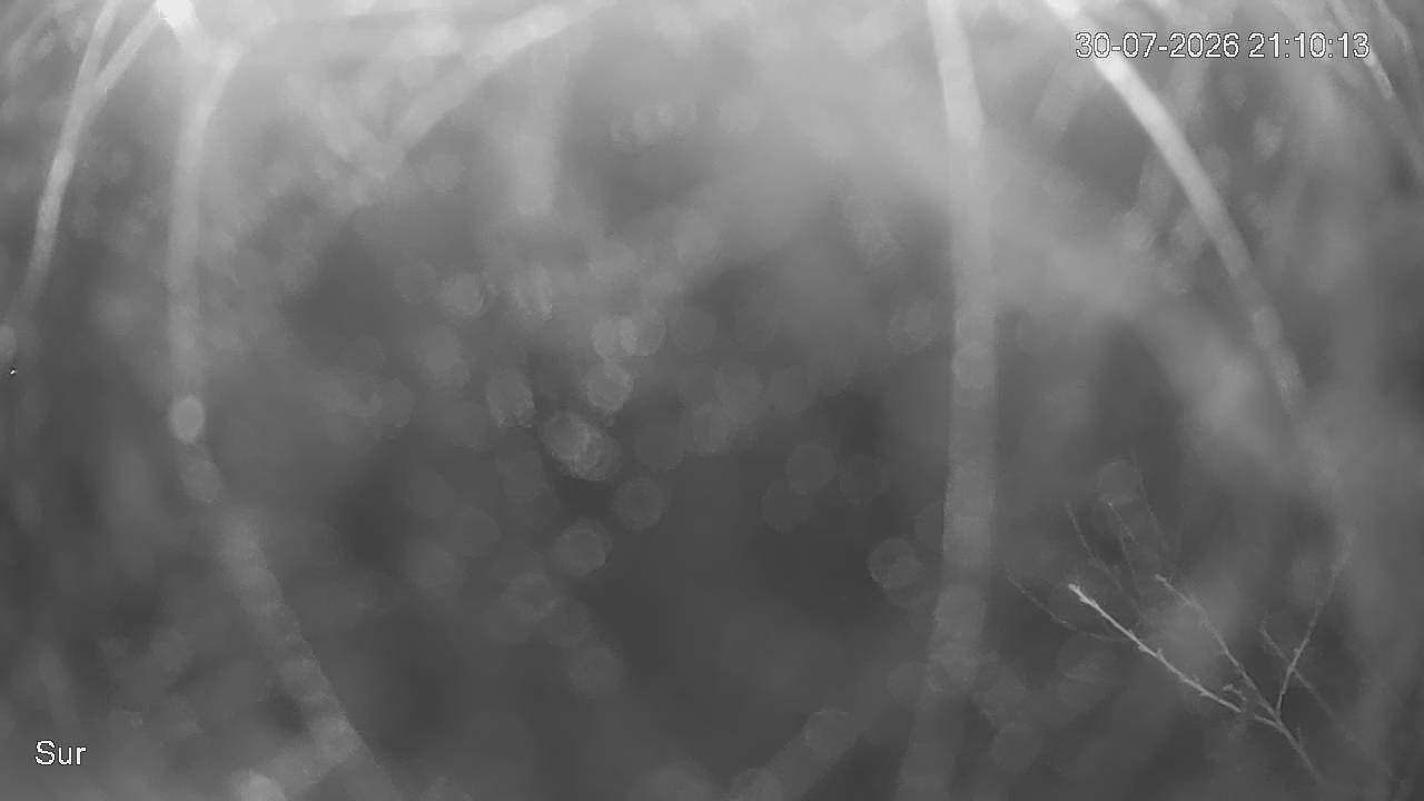 NVR_ch2_20260730211014_T.jpg