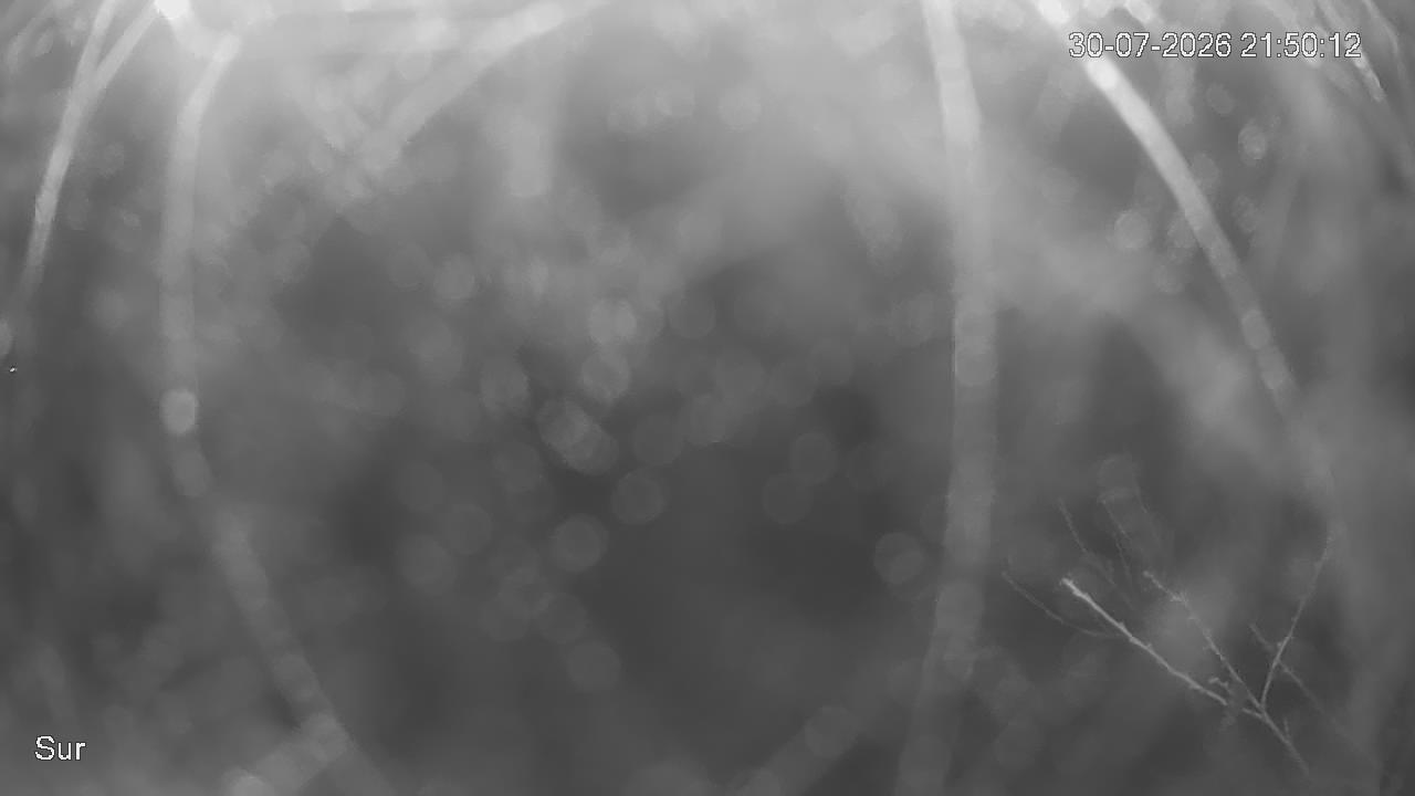 NVR_ch2_20260730215013_T.jpg