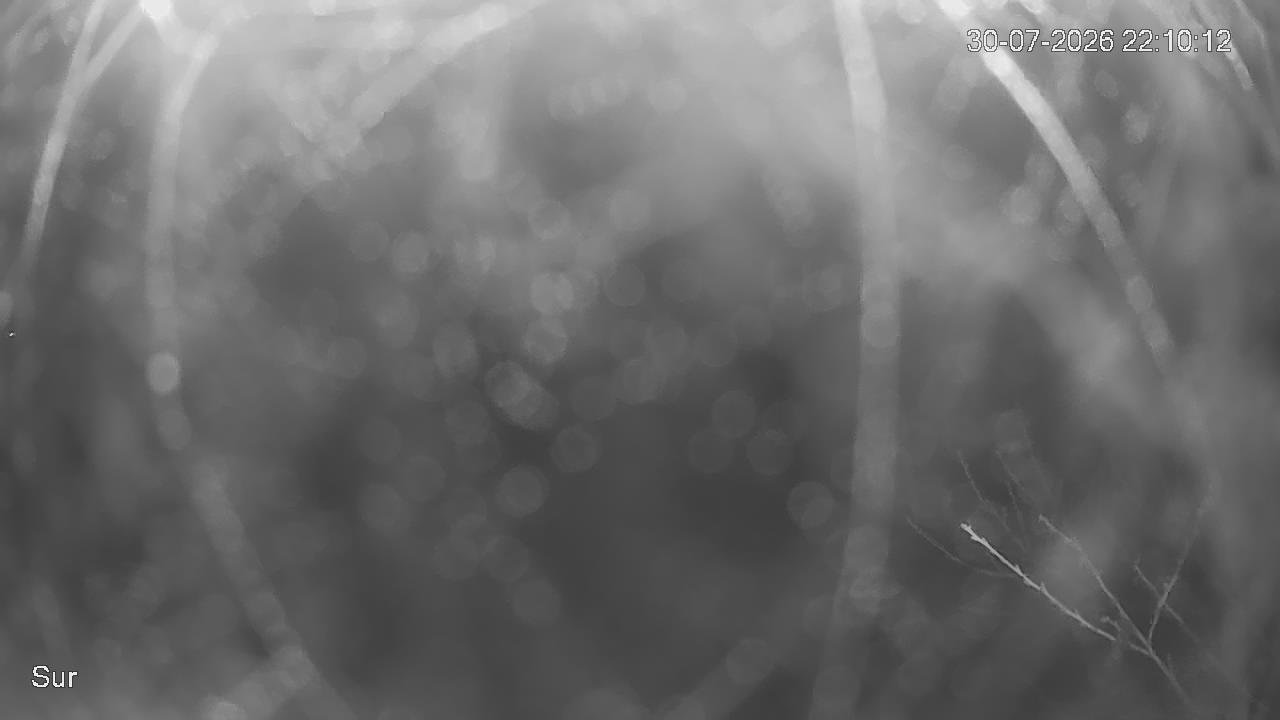 NVR_ch2_20260730221013_T.jpg