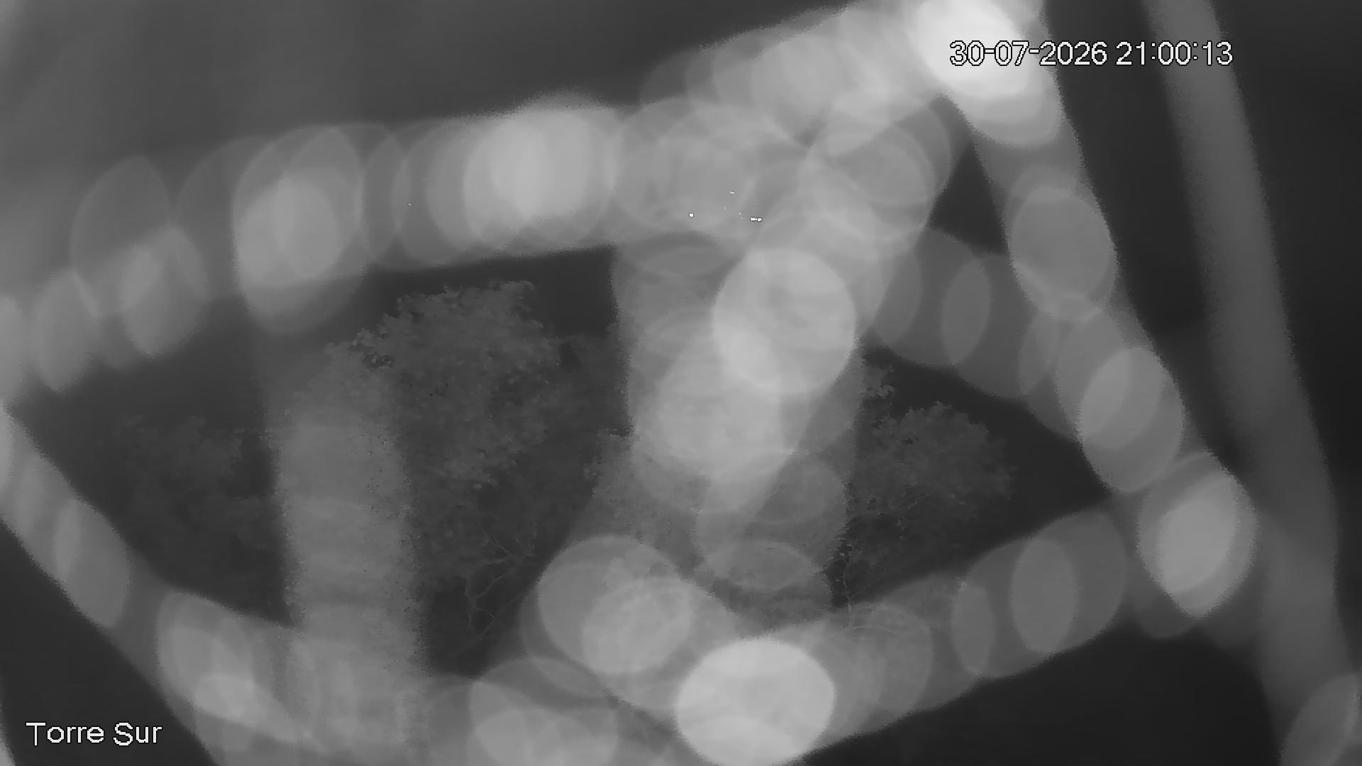 NVR_ch3_20260730210014_T.jpg