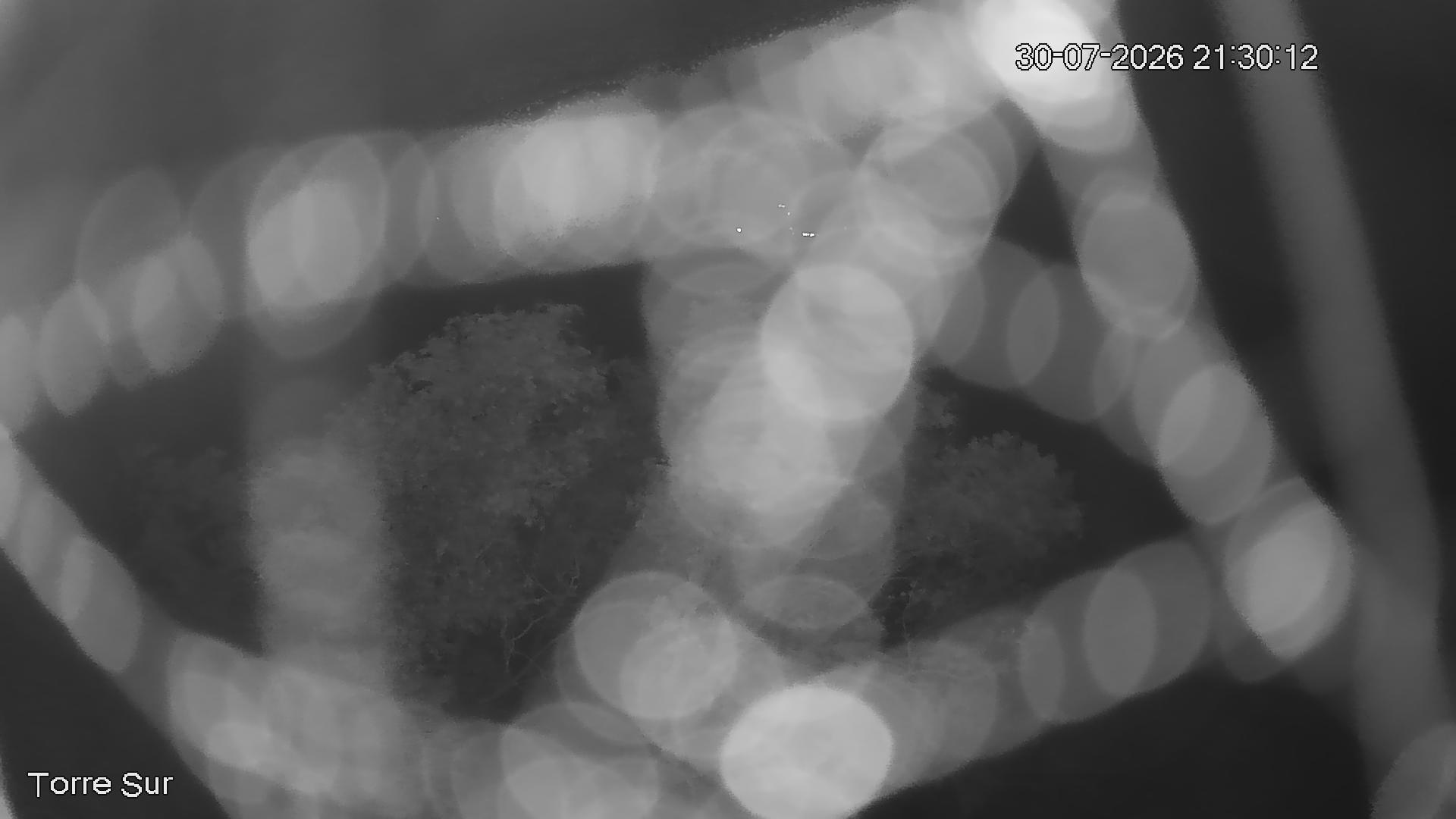 NVR_ch3_20260730213013_T.jpg