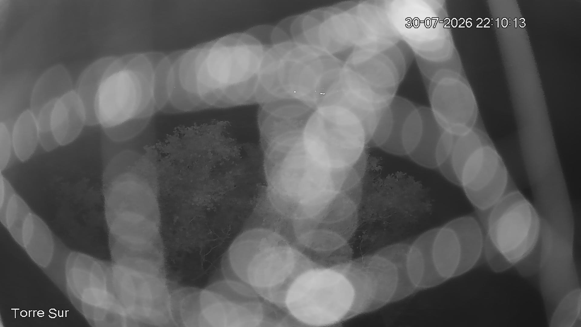 NVR_ch3_20260730221014_T.jpg